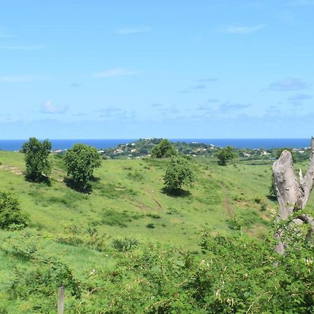 Bungalow La Paillote เลอ ฟร็องซัว ภายนอก รูปภาพ